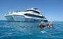 Silverswift Dive & Snorkel Adventures